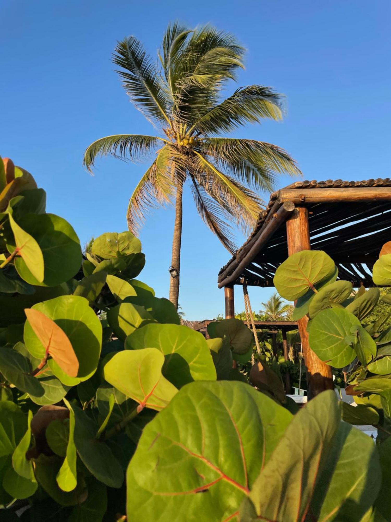 Namaste Beach Club & Hotel Playa de Punta Arena Bagian luar foto